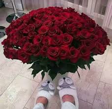 xg pinterest wishbone bear 90s fashion street wear street style photography style hipster vintage des luxury flowers beautiful roses beautiful flowers