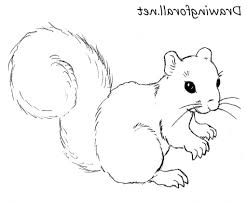 Step by step drawing tutorial on how to draw a chipmunk chipmunk is the small animal & belongs to the sciuridae. Easy Drawing Squirrel Novocom Top