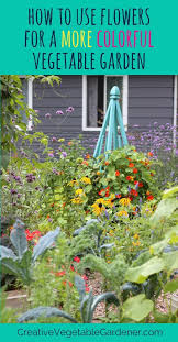 Check spelling or type a new query. How To Use Flowers For A More Colorful Vegetable Garden Vegetable Garden Garden Colorful Garden
