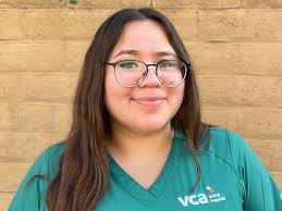 VCA Pinnacle Animal Hospital