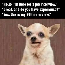 Discover new memes and create from popular formats in just a few clicks. 9gag Professional Interviewee Facebook