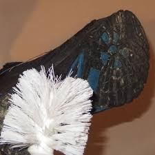 Diese tipps und tricks helfen beim teppichboden entfernen. Hundekot Auf Teppich Entfernen Frag Mutti Forum