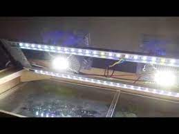 A Better Diy Led Aquarium Light Youtube Aquarium Led Led Aquarium Lighting Fish Tank Lights