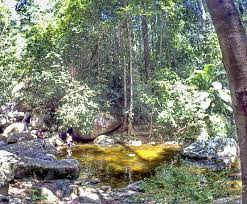 Lagi dan lagi saya bercerita perjalanan saya ke air terjun. Sungai Asahan Jasin Nawi Da Vinci