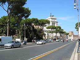 Check spelling or type a new query. Stone Pine Wikipedia