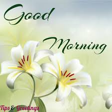 Every day in evening, after returning home from our work we relax and send messages to our loved ones. Whatsapp Images Of Good Morning Gif Good Morning Gif Morning Gif Animation With Images And Photos Free Download For Whatsapp Jule Manden19