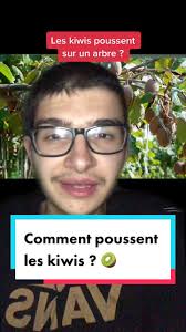 #collage avec @Fruits🍏🍎🍉🍊🍌🍊🍋 La plupart d’entre nous