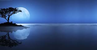 Http Www Twitterevolutions Com Bgs Tree On A Moonlight Twitter Background Jpg Photo Background Images Background Images Background