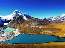 Kucing himalaya adalah jenis kucing persilangan antara ras persia dengan ras siam. 5 Lokasi Misterius Di Pegunungan Himalaya Berani Ke Sana