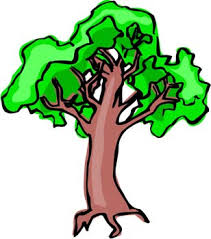 Non flowering plants names and pictures. Non Flowering Plants Facts For Kids All You Need To Know