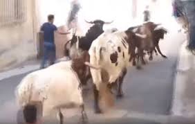00:45 أمطار على مركز الشبحة التابع لمحافظة أملج. Ø±ÙØ³Ø© Ø«ÙˆØ± Ù‡Ø§Ø¦Ø¬ ØªÙ‚Ø·Ø¹ Ø£Ù†ÙØ§Ø³ Ø´Ø§Ø¨ ÙÙŠ Ø¥Ø³Ø¨Ø§Ù†ÙŠØ§ Rt Arabic