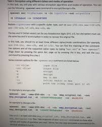 (transitive) to convert (an encrypted or coded message) back into plain text. Solved Task 1 Encryption Using Different Ciphers And Mod Chegg Com