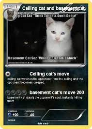 See more ideas about basement cat, cats, funny cats. Pokemon Ceiling Cat And Basement Cat