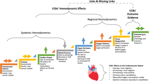 Calcium Channel Blockers In Acute Care The Links And Missing Links Between Hemodynamic Effects And Outcome Evidence Springerlink