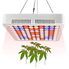 Eyehortilux hx66620 is winner on our list for being the best hps grow light available on the market. Top 10 Best Lights For Indoor Hydroponics 2021 Bestgamingpro