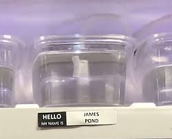 A wide variety of fish pet names options are available to there are 71 suppliers who sells fish pet names on alibaba.com, mainly located in asia. Pet Store Gives Celebrity Names To Their Fishes And They Are Hilariously Accurate Bored Panda