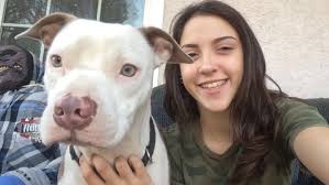 Golden Retriever Helps Owner After Fall