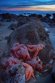 El Capitan State Beach Beach Camping Hiking Spots The Good Place