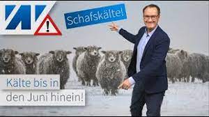 Auch dieses jahr bleiben wir nicht von der schafskälte und einem. Schafskalte 2021 Deutschland Datum Wetter Bauernregel Wann Ist Die Schafskalte Sudwest Presse Online