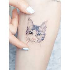 Love cats, or just your cat in particular? Cat Face Portrait Tattoo Cat Tattoo Animal Tattoos Little Tattoo For Girls