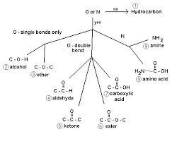 organic flow chart