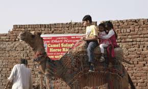 Camel ride in bikaner is one of the top activities to do in city. Elephant And Camel Safari