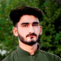 50+ "Safeer Awan" profiles