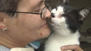 Terminally ill woman fears her death will leave daughter, dozens of cats  homeless