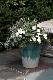 Balkonpflanzen In Weiss Tipps Fur Eine Einfarbige Bepflanzung Balkon Pflanzen Bepflanzung Container Garten