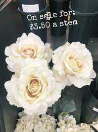 Check spelling or type a new query. Calling All Fake Plant Ladies Where To Find The Real Ist Looking Fake Plants The Decor Formula