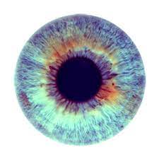 Pin On Eyes