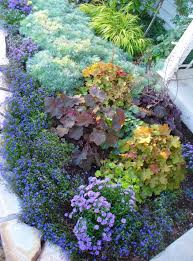 Reader Photos Sarah S Garden In Illinois Day 1 The Front Yard Finegardening Plants Shade Plants Shade Garden