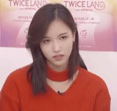 Pin On Penguin Mina Twice