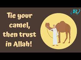 Shouldn't the translation be 'tie your camel, and then trust in allah'? Tie Your Camel Then Trust In Allah The 3 Requirements Of Success Ir Network Youtube