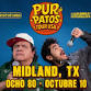 PUR DE PATOS EN MIDLAND, TX