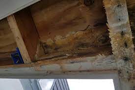 Zwarte schoensmeer hout ✓ hoe verwijder ik zwarte schoensmeer op hout? Hout Schimmel Herkennen En Verwijderen Zo Doe Je Dat