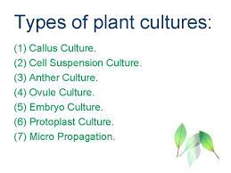 Plant tissue culture is a collection of techniques used to maintain or grow plant cells, tissues or organs under sterile conditions on a nutrient culture medium of known composition. Plant Tissue Culture Definition The Term Plant Tissue