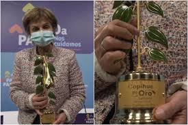 Travelers whose flight originated in brazil will need to get retested on arrival and they will be moved to a temporary residence until a negative result is made. Este Copihue De Oro Lo Recibira La Subsecretaria Paula Daza
