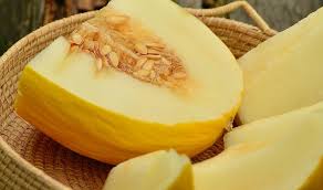 Die galiamelone ist eine kreuzung aus unterschiedlichen zuckermelonen und gehört zu den netzmelonen. Honigmelone Melonengarten