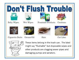 What Not To Put Into Your Septic System Don T Flush The Following Items To Be Disposed Into Your Septic System Cat L Septic System Septic System Repair Flush