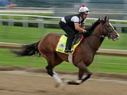 Offering our most popular designs from a selection of our wallpaper and art designs; Preakness 2019 Everything You Need To Know About The 13 Horses Racing