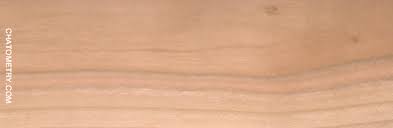 Image result for Leptactina arborescens