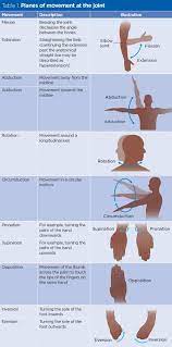 Write no more than two words from the text for each answer. You Must Be Crazy I Identify The Main Muscles Of The Body Using The Accompanying Diagram Indicate Using The Letters Provided Where Each Muscle Group Is On The Diagram Chronic Exposure