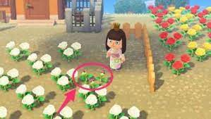 I finally finished my guide on the genetics system for flowers! Acnh Blue Roses How To Get Breed Animal Crossing Gamewith