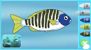 Download Color And Create With Noggin S New Ocean Stem Educational Game Game Design And Development Services