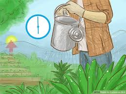 How To Conserve Soil 12 Steps With Pictures Wikihow