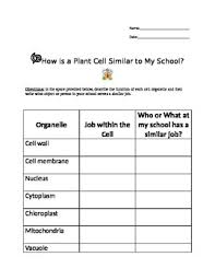 Maybe you would like to learn more about one of these? Cells And Organelle Jobs Worksheets Teaching Resources Tpt