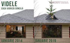 16 decembrie 1963 (57 de ani) roșiorii de vede, teleorman, românia. Viorica DÄƒncilÄƒ 5 Year Challenge N Am Strans IncÄƒ Pomul De CrÄƒciun Nu Stiu De Ce DacÄƒ Il Scot Imi PlouÄƒ In CasÄƒ