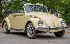 Image result for Medium Brown 1950 Beetle