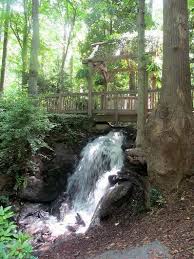 Informationen und hintergründe zum thema hatcher garden and woodland preserve +++ top angebote für spartanburg +++ hunderte hotels & unterkünfte in der nähe +++ expedia.de. Facebook